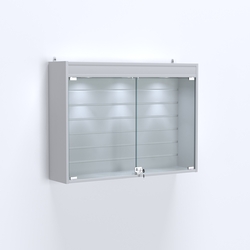 Витрина настенная №203-2Б широкая со встроенной подсветкой , Серый