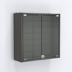 Витрина настенная №201-1Б с эконом панелью, Черный