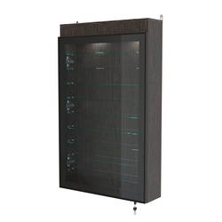 Витрина настенная №2-7А высокая с девятью полками и подсветкой серии Collecto, Дуб Венге