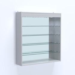 Витрина настенная №204-4Г зеркальная с прозрачными полками и подсветкой, Серый