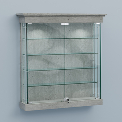 Витрина для музеев "Коллекция" настенная №2-4А-РЕГ, Метрополитан Грей