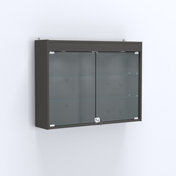 Витрина настенная №203-3А широкая с двумя полками и фризом, Черный