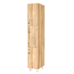 Шкаф для раздевалок СТАНДАРТ-ТРИО №1, Дуб Золотистый