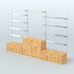 Система Neo Fix с прозрачными полками №6 и тумбами T-12 и Т13, Дуб Золотистый