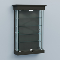 Витрина для музеев "Коллекция" настенная №1-4А-РЕГ, Черный