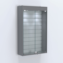 Витрина настенная №202-2Б с эконом панелью и верхней подсветкой, Темно-Серый