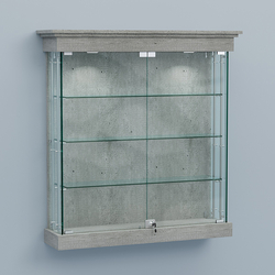 Витрина для музеев "Коллекция" настенная №2-3А-РЕГ, Метрополитан Грей