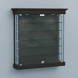 Витрина для музеев "Коллекция" настенная №2-5А-РЕГ, Черный