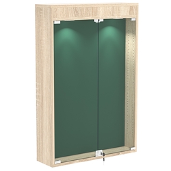 Витрина настенная БАРОН для медалей №2-3А, Дуб сонома + 10 Green