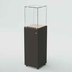 Витрина для музеев "Коллекция" №17, Черный