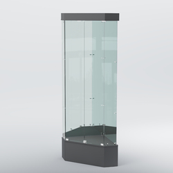 Витрина для музеев "Коллекция" №18 угловая с фризом, Темно-Серый