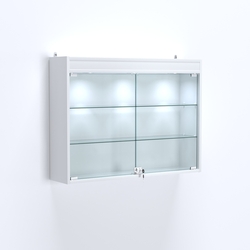 Витрина настенная №203-3А широкая с двумя полками и фризом, Белый