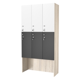 Шкаф для раздевалок СТАНДАРТ-ДУО №3-3, Дуб сонома,Черный, Белый