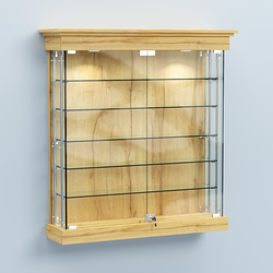 Витрина для музеев "Коллекция" настенная №2-5А-РЕГ, Дуб Золотистый