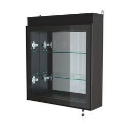 Витрина настенная №1-4А с подсветкой и зеркалом серии Collecto, Черный