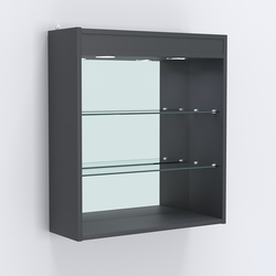 Витрина настенная №201-4Г открытая зеркальная с подсветкой, Антрацит