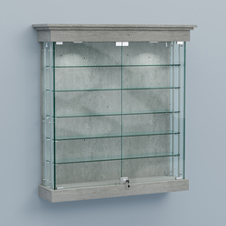 Витрина для музеев "Коллекция" настенная №2-5А-РЕГ, Метрополитан Грей