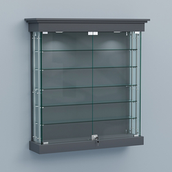 Витрина для музеев "Коллекция" настенная №2-5А-РЕГ, Темно-Серый