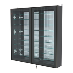 Витрина настенная №4-6А зеркальная с девятью полками серии Collecto, Черный