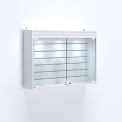 Витрина настенная №203-2Б широкая со встроенной подсветкой , Белый