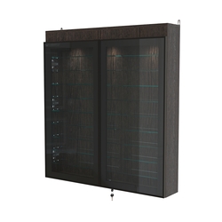 Витрина настенная №4-7А с фризом и девятью стеклянными полками серии Collecto, Дуб Венге