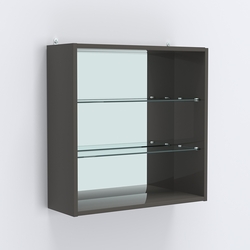 Витрина настенная №201-2Г открытая с зеркалом, Черный