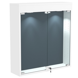 Витрина настенная БАРОН для медалей №1-3А , Белый + + 11 Blue