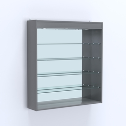 Витрина настенная №204-4Г зеркальная с прозрачными полками и подсветкой, Темно-Серый