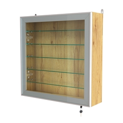 Витрина настенная №1-5А с пятью прозрачными полками серии Collecto, Дуб Золотистый