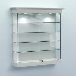 Витрина для музеев "Коллекция" настенная №2-4, Серый