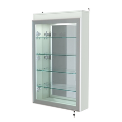 Витрина настенная №2-4А зеркальная с четырьмя полками и подсветкой серии Collecto, Белый