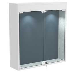 Витрина настенная БАРОН для медалей №1-3А , Серый + 11 Blue