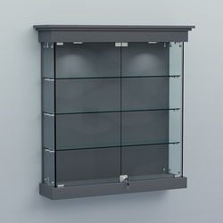 Витрина для музеев "Коллекция" настенная №2-3, Темно-Серый