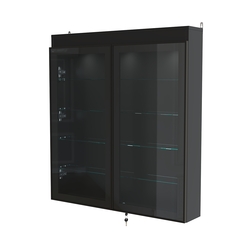 Витрина настенная №4-3А с подсветкой серии Collecto, Черный