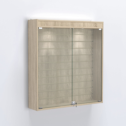 Витрина настенная №204-2Б закрытая с экономпанелью и фризом, Дуб Сонома