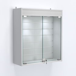 Витрина настенная №201-2Б с эконом панелью и фризом, Серый