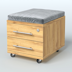 Тумба Лиани 2 ящика с подушкой, Дуб Золотистый