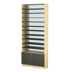 Стеллаж из ДСП с 10-ю полками 250x900 мм серии LEVEL-10 №11-2 (З/C - ЗЕРКАЛО), Дуб Сонома + Черный