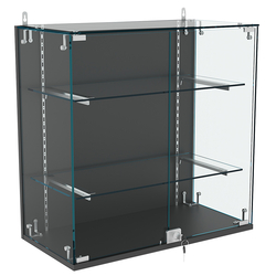 Витрина настенная НЕО №1-1 с двумя полками, Черный