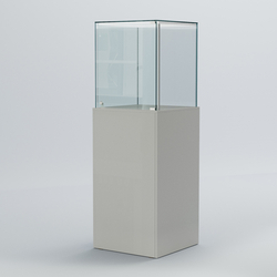 Витрина для музеев "Коллекция" №10-П с подсветкой, Серый