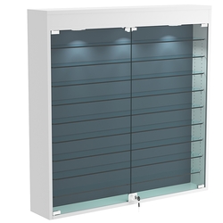 Настенная витрина с бархатом серии БАРОН №4-4А (девять полок), Серый + 11 Blue