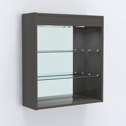 Витрина настенная №201-4Г открытая зеркальная с подсветкой, Черный