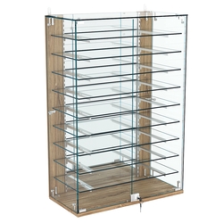 Витрина настенная НЕО №2-4 с зеркалом и девятью полками, Дуб канзас коричневый Н1113 ST10