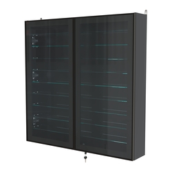 Витрина настенная №4-5А с девятью прозрачными полками серии Collecto, Черный