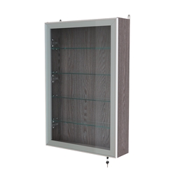 Витрина настенная №2-1А высокая серии Collecto, Ясень Анкор темный