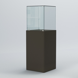 Витрина для музеев "Коллекция" №10, Черный