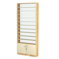 Стеллаж из ДСП с 10-ю полками 200x900 мм серии LEVEL-10 №10-1 (З/C - СТЕКЛО), Дуб Золотистый и Крем Вайс