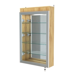 Витрина настенная №2-4А зеркальная с четырьмя полками и подсветкой серии Collecto, Дуб Золотистый