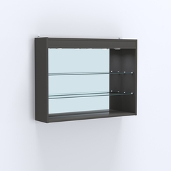 Витрина настенная №203-4Г зеркальная без дверей со стеклянными полками и верхней подсветкой, Черный