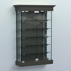 Витрина для музеев "Коллекция" настенная №1-5-РЕГ, Черный